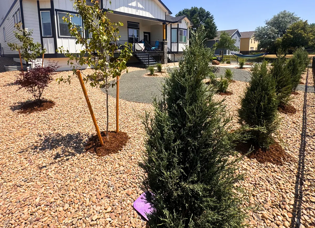 Weeds to clean xeriscape, after
